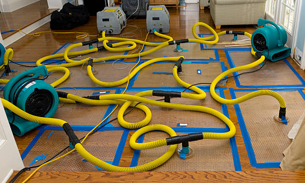 Professional Burst Pipe Water Damage technician working in Greenwood, MO